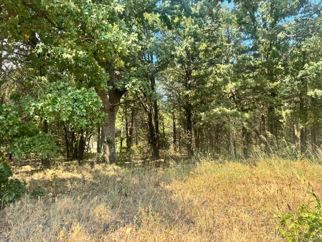 TBD Pine Hills Lane, Gordonville, TX 76245