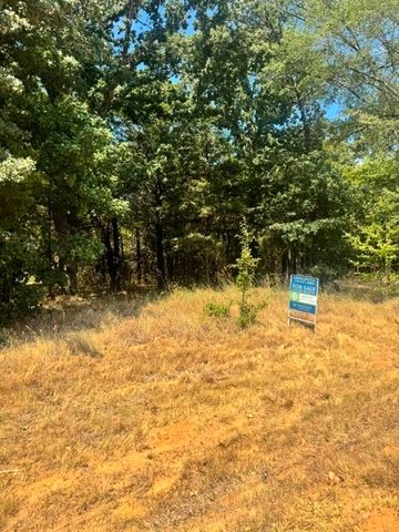 TBD Pine Hills Lane, Gordonville, TX 76245