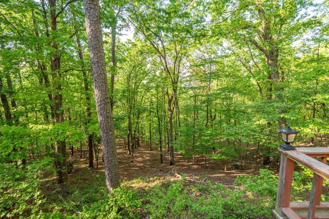 356 Trap Mountain Road, Hot Springs, AR 71913