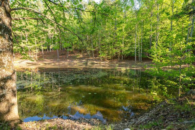 356 Trap Mountain Road, Hot Springs, AR 71913