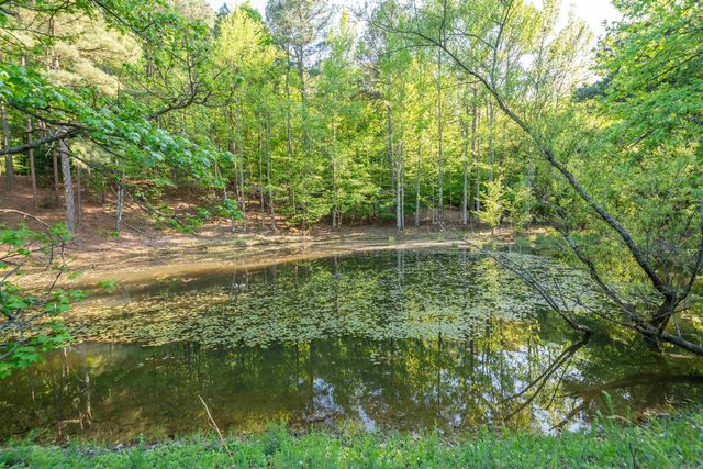 356 Trap Mountain Road, Hot Springs, AR 71913