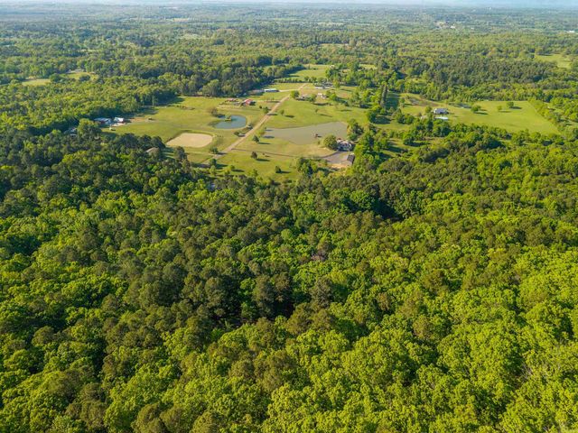 356 Trap Mountain Road, Hot Springs, AR 71913