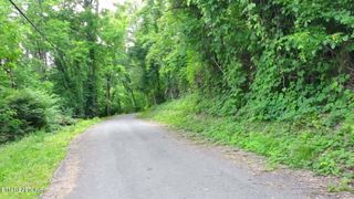 3817 Bonnie View Ave, Knoxville, TN 37914