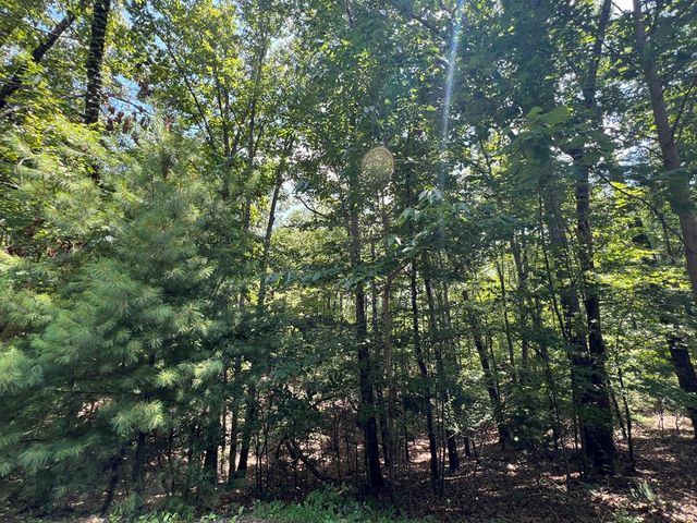 LOT 32 Mission Ridge, Hayesville, NC 28904