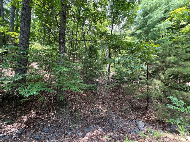 LOT 32 Mission Ridge, Hayesville, NC 28904