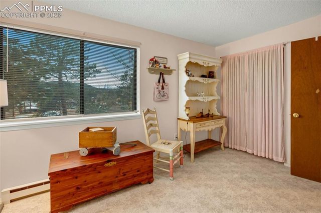 560 Manor Court A, Woodland Park, CO 80863