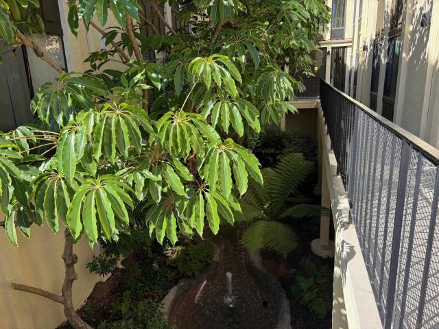 3796 Alabama St A118, San Diego, CA 92104