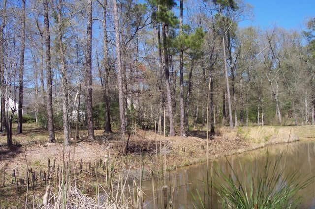 4214 Highland Lakes, Montgomery, TX 77316