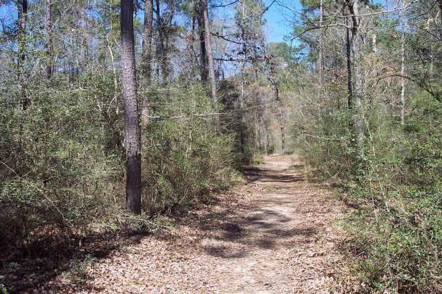 4214 Highland Lakes, Montgomery, TX 77316