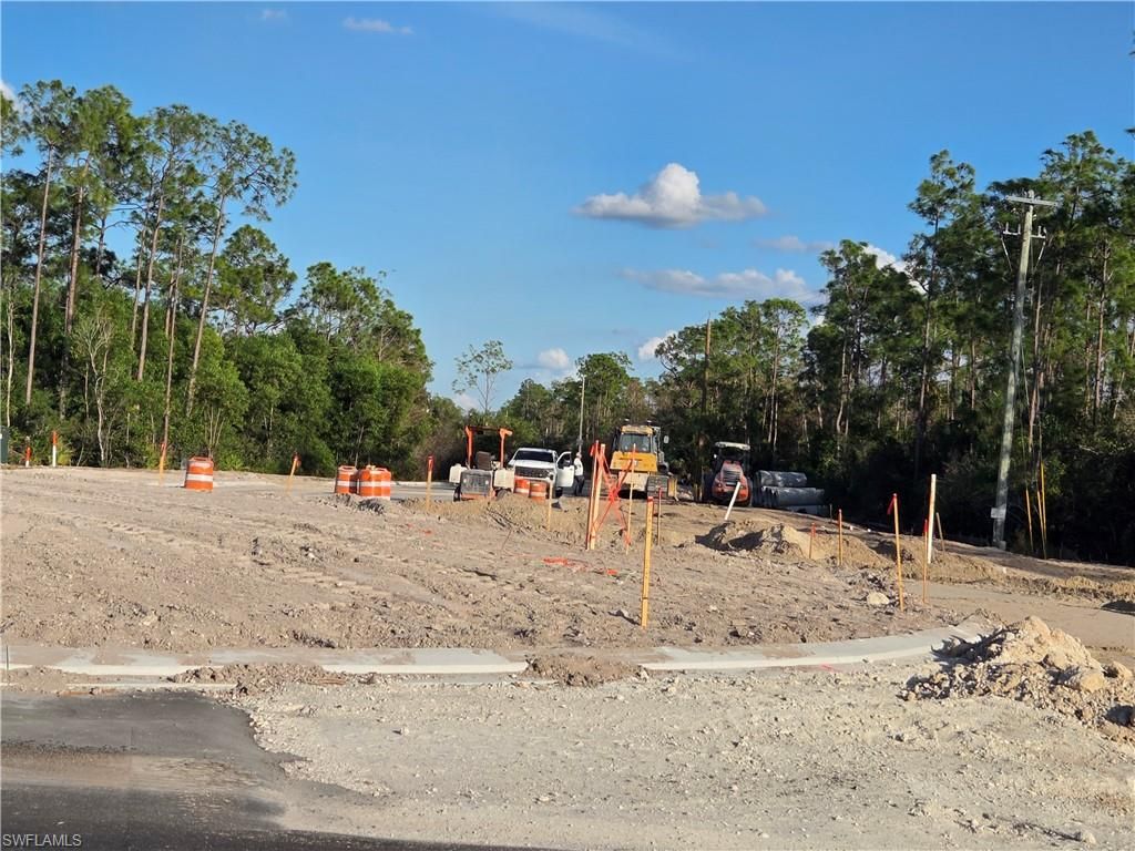 13541 Terry ST, BONITA SPRINGS, FL 34135 — exterior