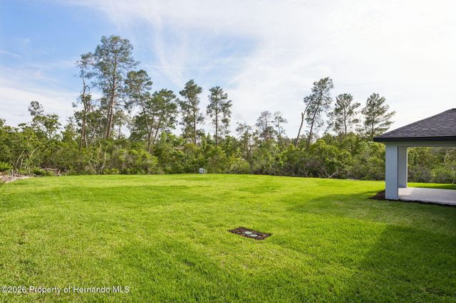 9412 Noddy Tern Road, Weeki Wachee, FL 34613
