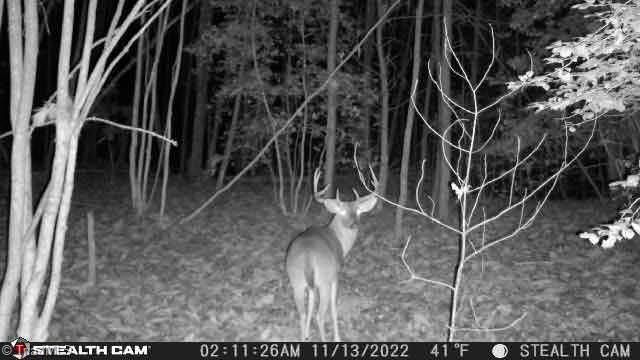 TBD Taylorsville Road, Granite Falls, NC 28645