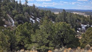 Lot 1628 Hidalgo Road, San Luis, CO 81152