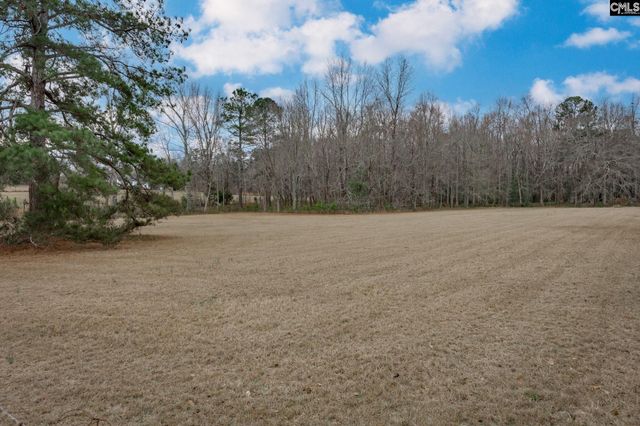 528 Hallman Wagon Road, Leesville, SC 29070