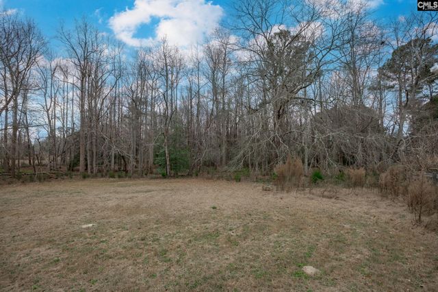 528 Hallman Wagon Road, Leesville, SC 29070