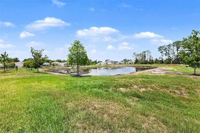 23231 SCAGLIONE DRIVE, Lutz, FL 33549