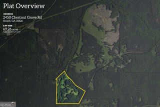 2450 Chestnut Grove Road 3, Shiloh, GA 31826