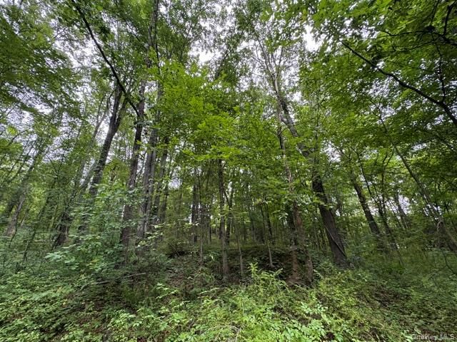 140 N Drury Lane, Newburgh, NY 12550