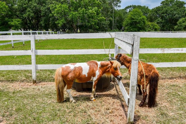 2918 La Rama, Richmond, TX 77469