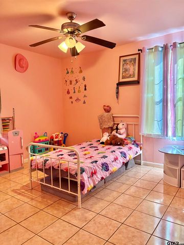 402 MILLIGAN DR, Pittsburg, TX 75686