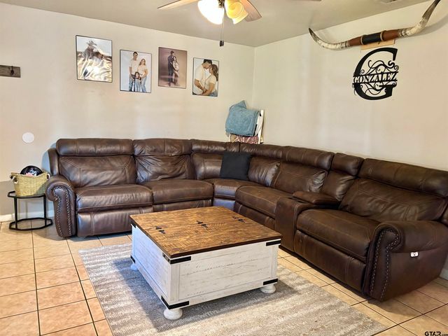 402 MILLIGAN DR, Pittsburg, TX 75686