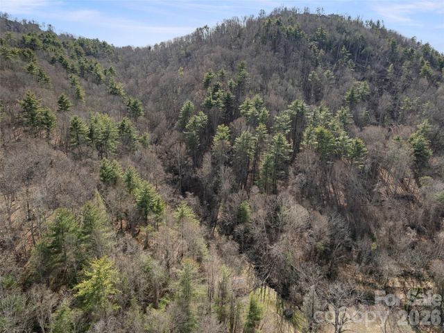 401 Baird Cove Road, Asheville, NC 28804