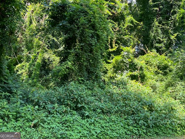 0 Tye, Stockbridge, GA 30281