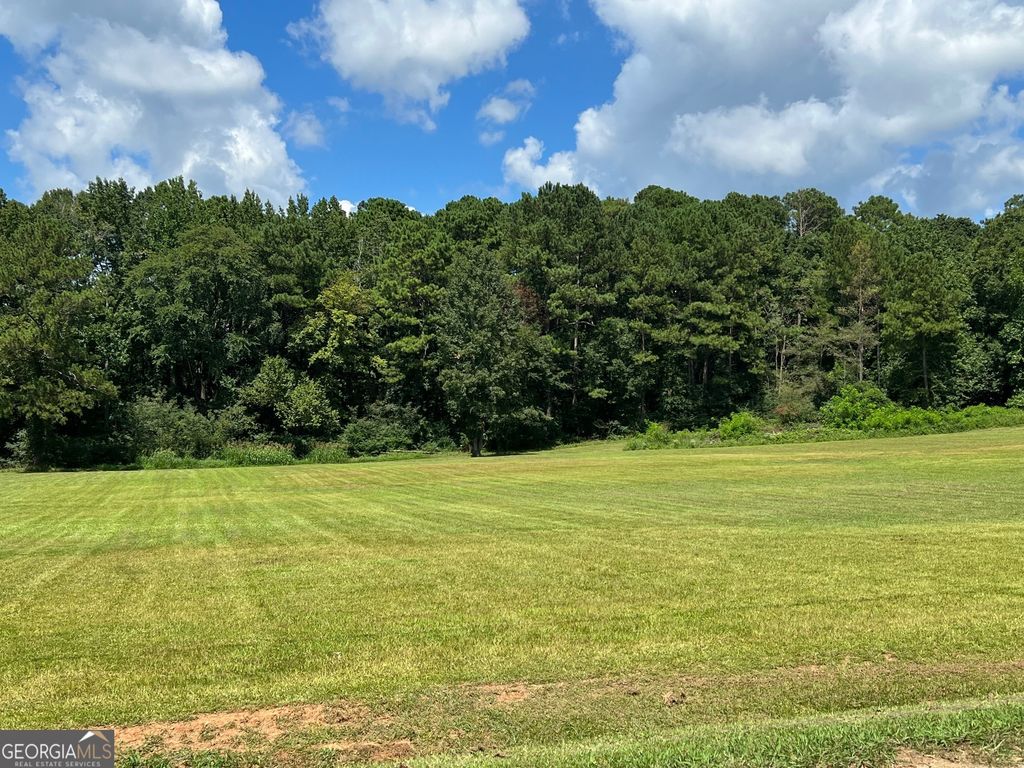 0 Tye, Stockbridge, GA 30281