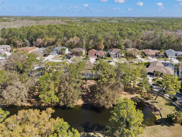 4202 ROTHERHAM COURT, Palm Harbor, FL 34685