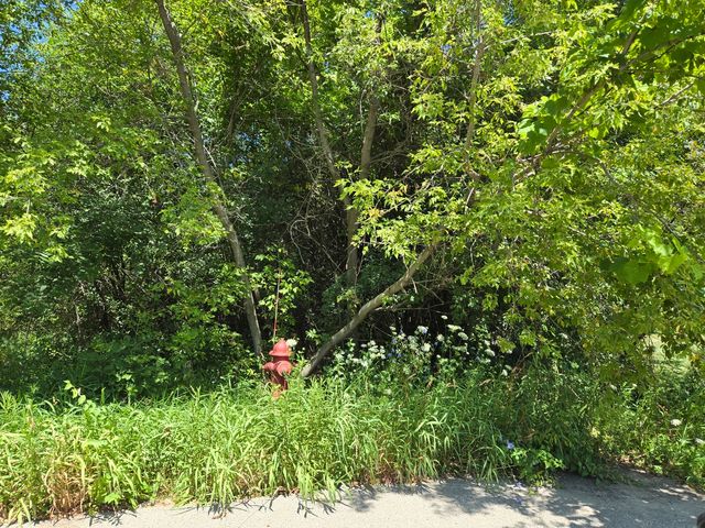 0 Greenview Avenue, Park City, IL 60085