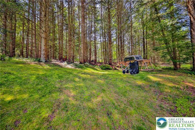 630 Beers Lane, Towamensing Twp, PA 18071