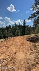 158 Glacier Dr, St. Maries, ID 83861