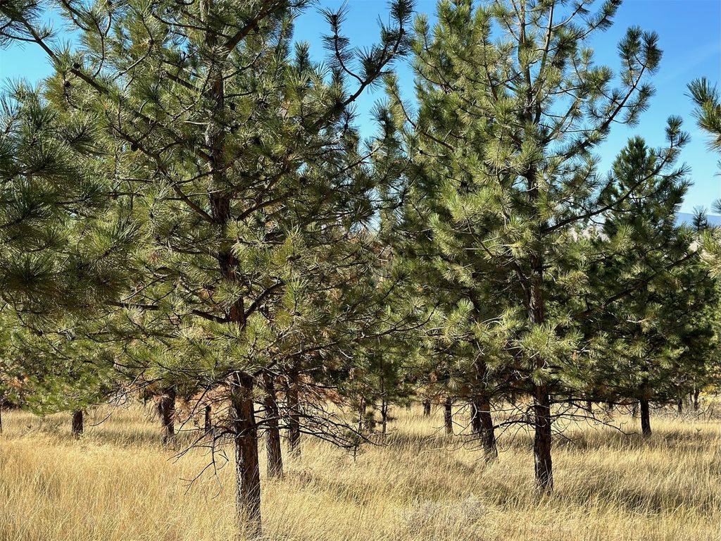 NHN Highview Way, Helena, MT 59601 photo 11