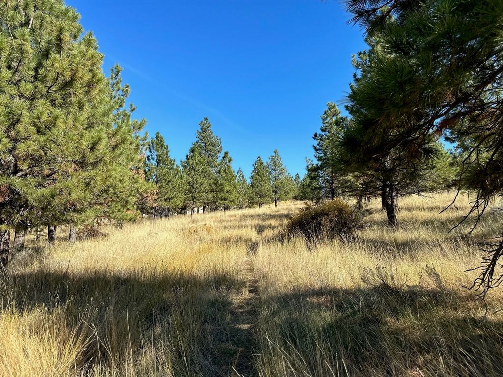 NHN Highview Way, Helena, MT 59601 photo 20