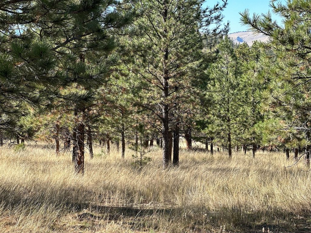 NHN Highview Way, Helena, MT 59601 photo 4