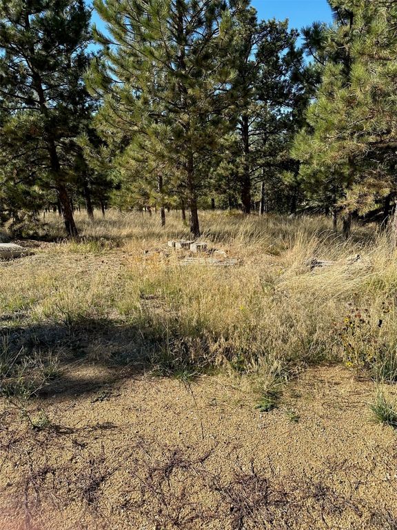 NHN Highview Way, Helena, MT 59601 photo 9