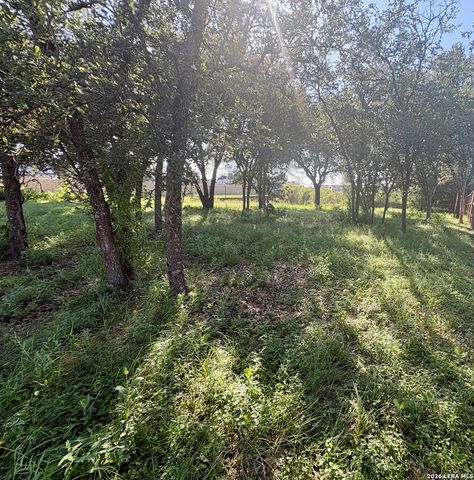 TBD Old Austin RD, Selma, TX 78154