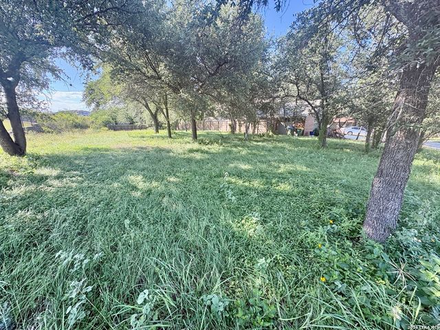 TBD Old Austin RD, Selma, TX 78154