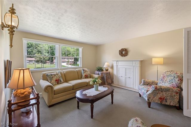 1664 Tinkers View Drive, Twinsburg, OH 44087