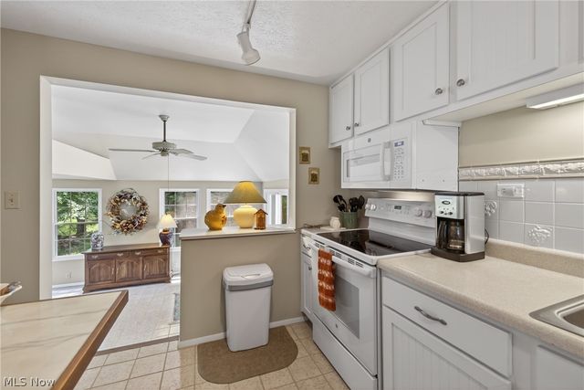 1664 Tinkers View Drive, Twinsburg, OH 44087