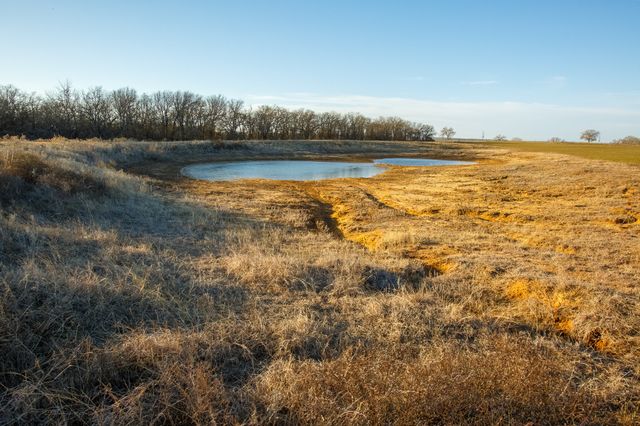 4312 Shawver Road, Perrin, TX 76486