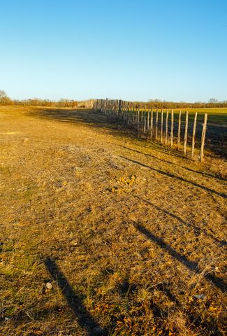 4312 Shawver Road, Perrin, TX 76486