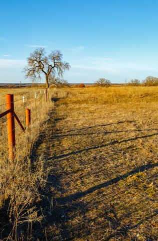 4312 Shawver Road, Perrin, TX 76486