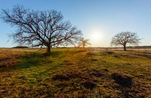 4312 Shawver Road, Perrin, TX 76486