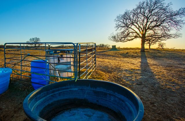 4312 Shawver Road, Perrin, TX 76486