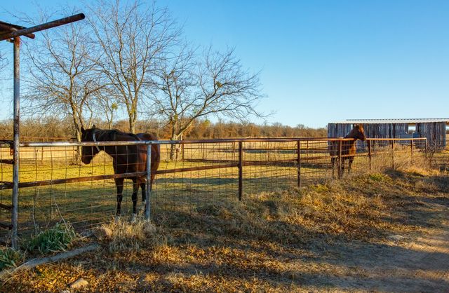 4312 Shawver Road, Perrin, TX 76486