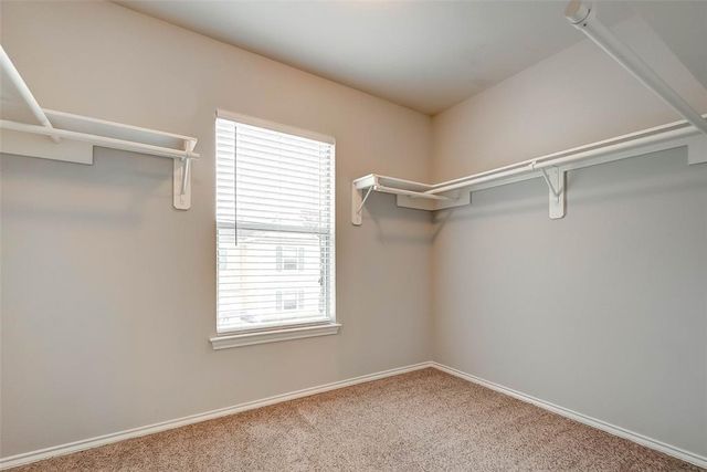 1718 Redwing Cove Drive, Houston, TX 77009