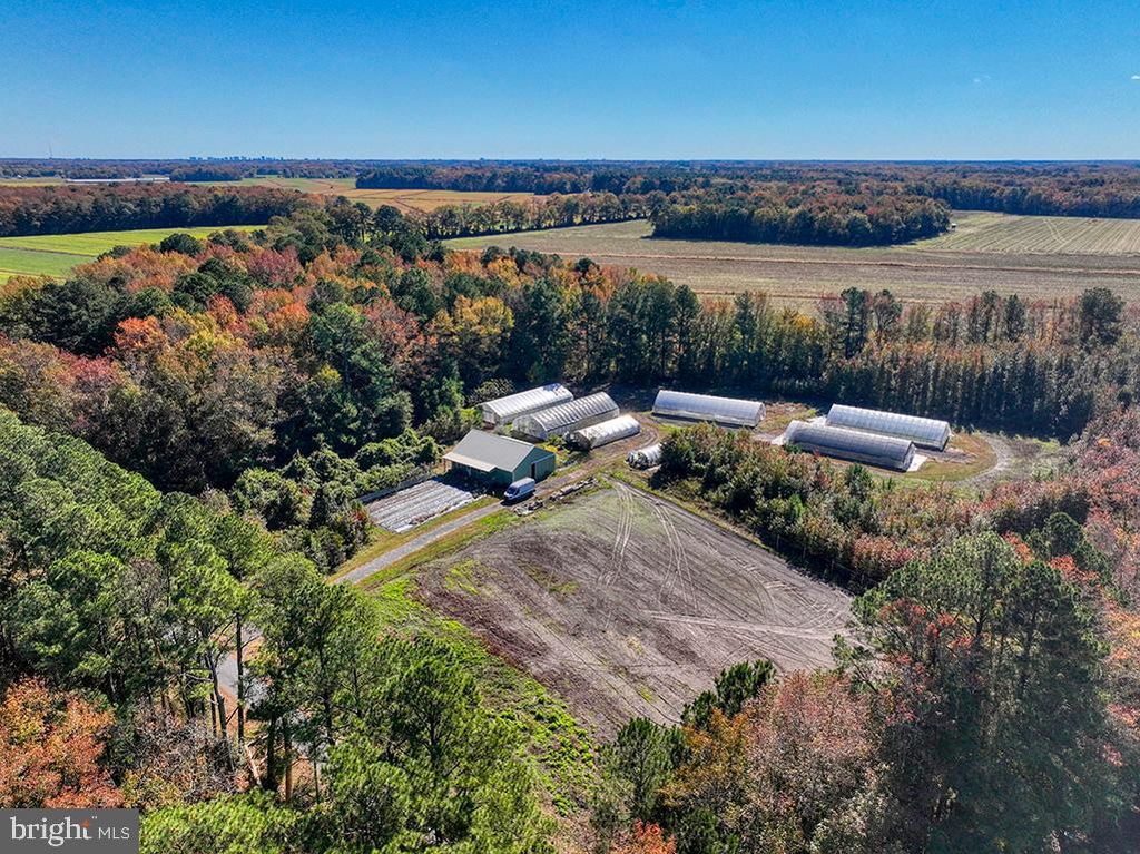 Image 19 of property listing at 30402 JAY PATCH RD, Selbyville, DE 19975