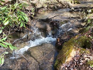 Lot 44A Synacia Drive, Mineral Bluff, GA 30559