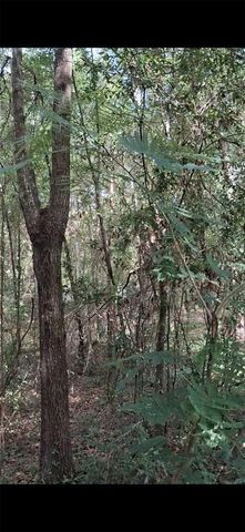 SW PEACOCK DRIVE, Dunnellon, FL 34431